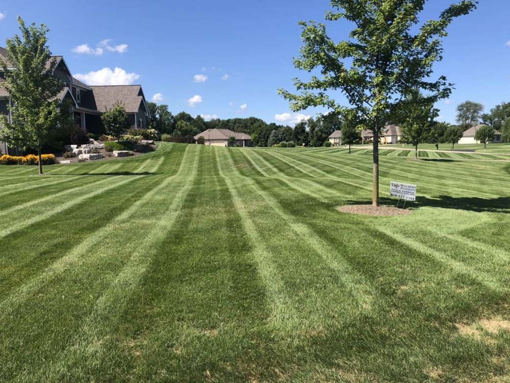 A Lush Green Lawn With a House in the Background