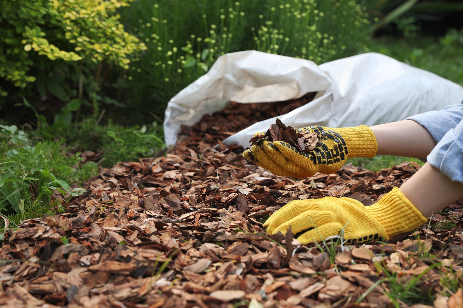 A Person Wearing Yellow Gloves is Spreading Mulch in a Garden