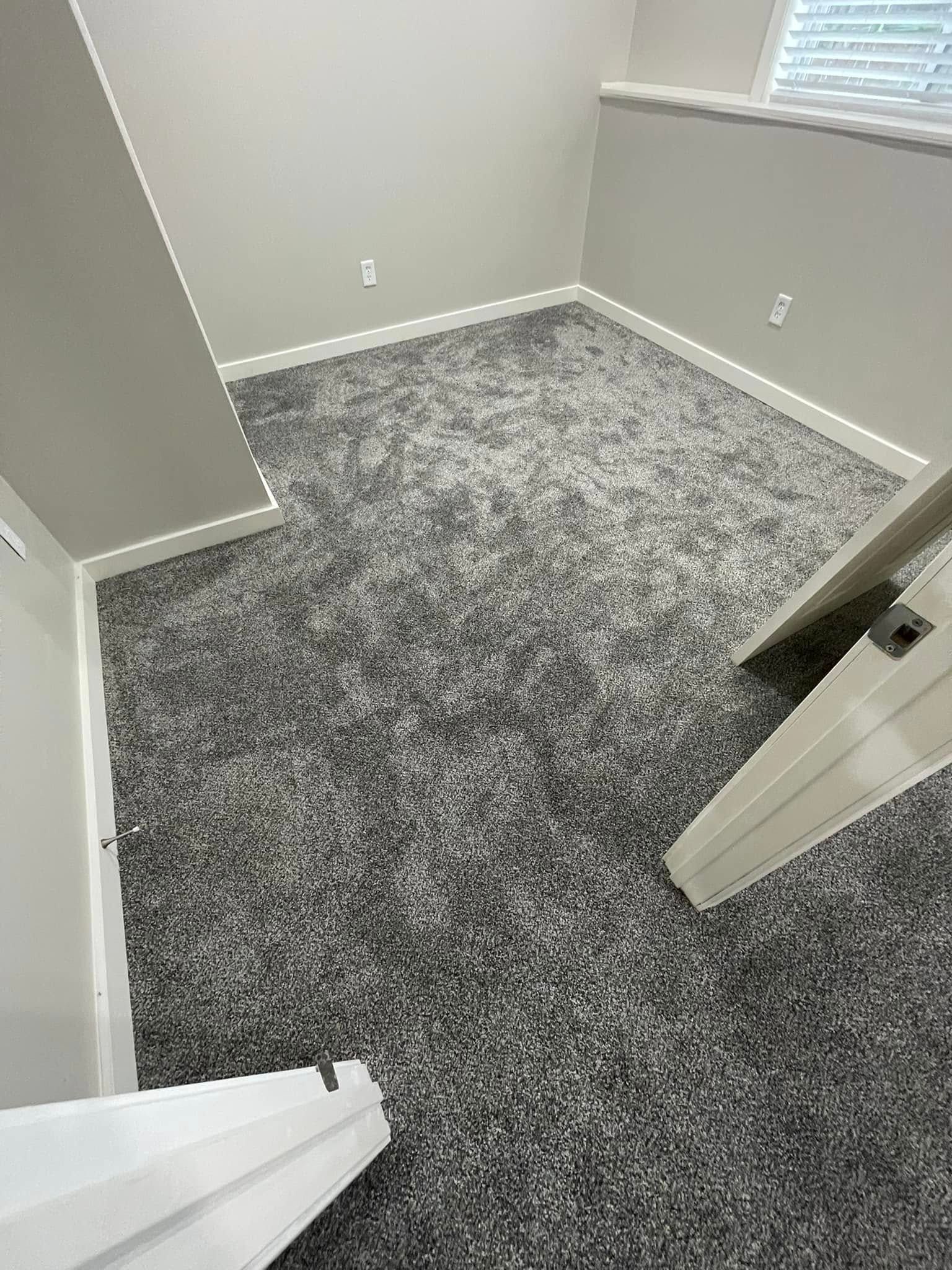 Gray carpeted room with white trim, door, and a small window.