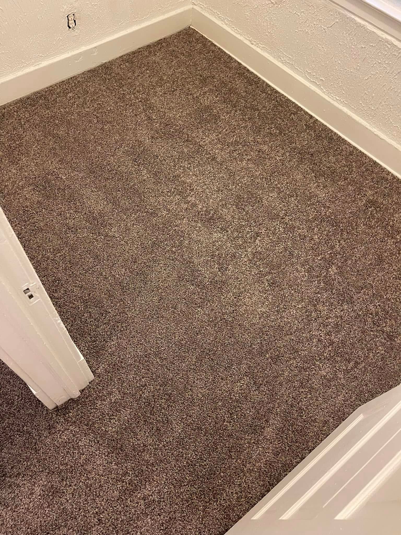 Carpeted floor with white trim.