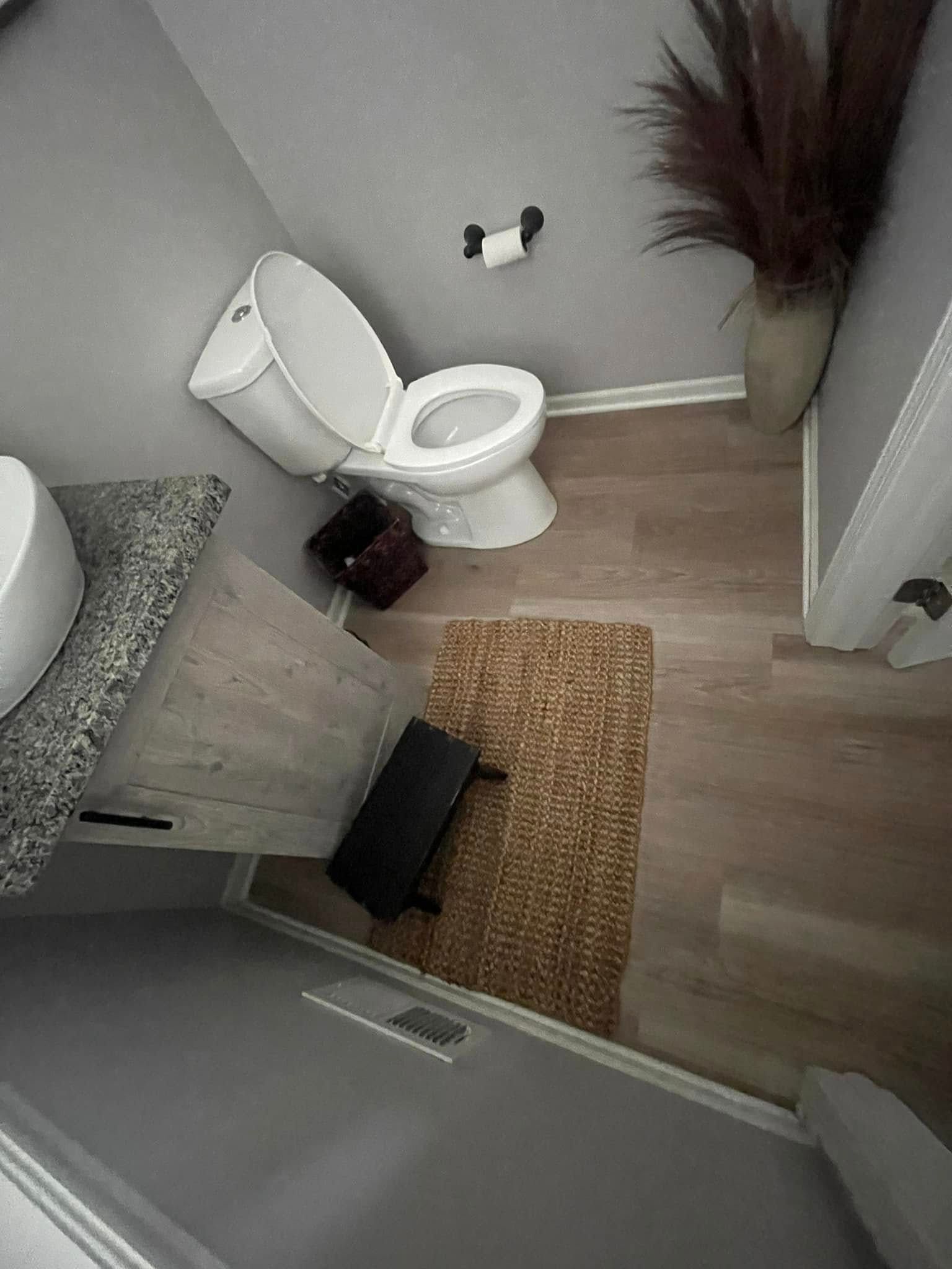 Bathroom with toilet, sink, rug, and tall vase of dried plants.