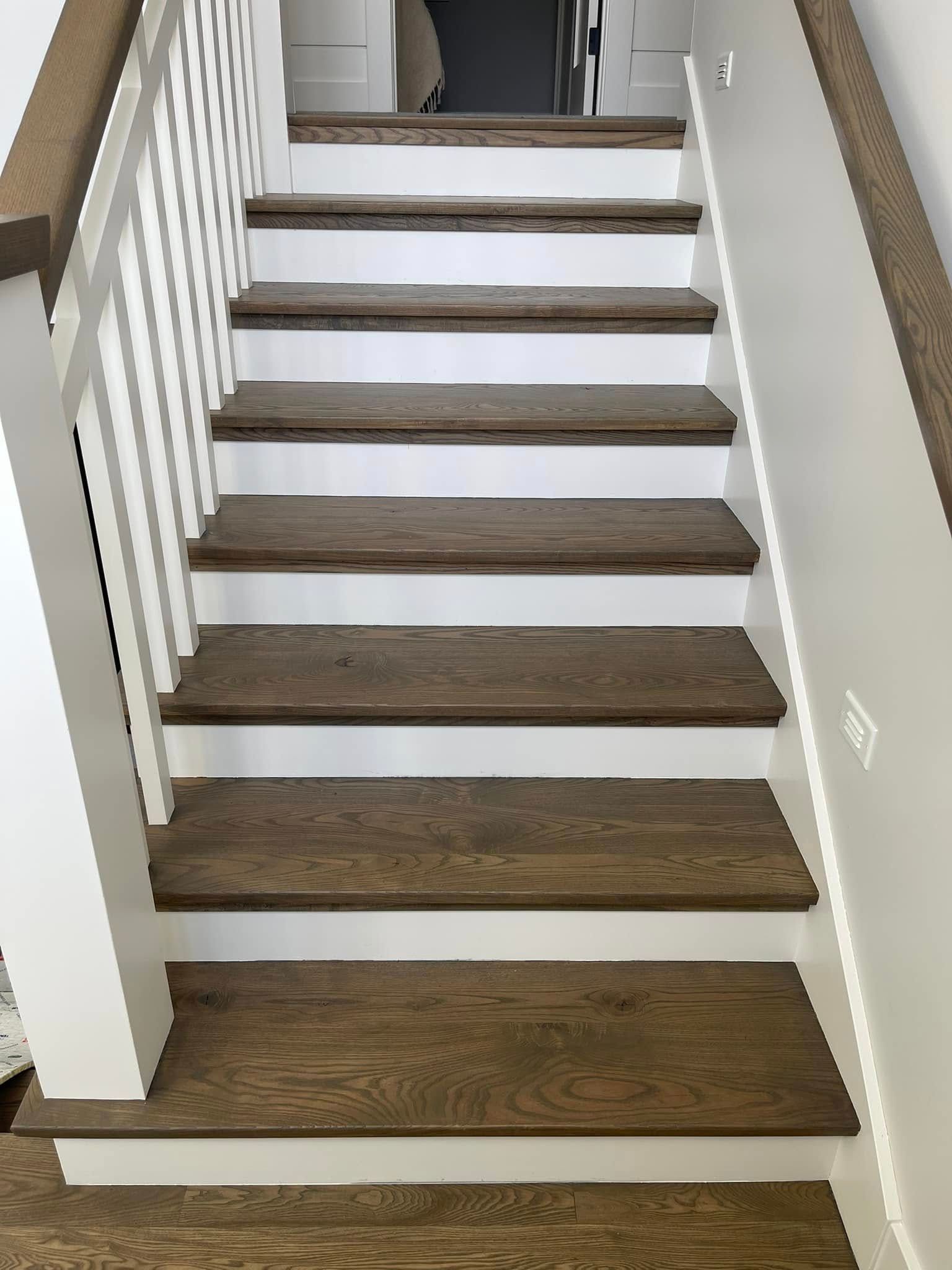 Wooden stairs with white risers and handrail in a modern home.