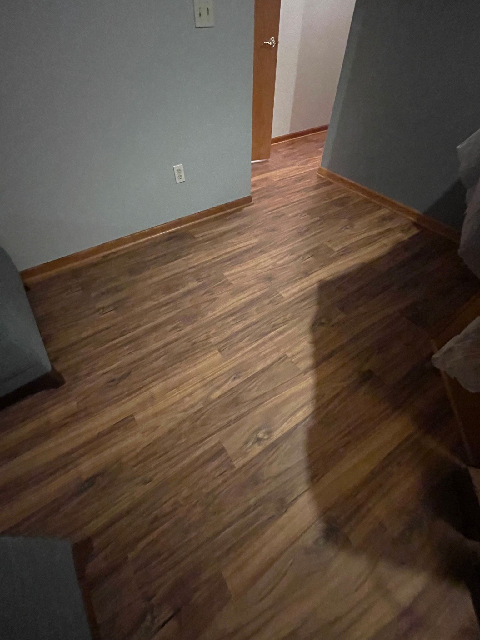 Wood-look flooring in a room with blue walls, a door, and a white electrical outlet.