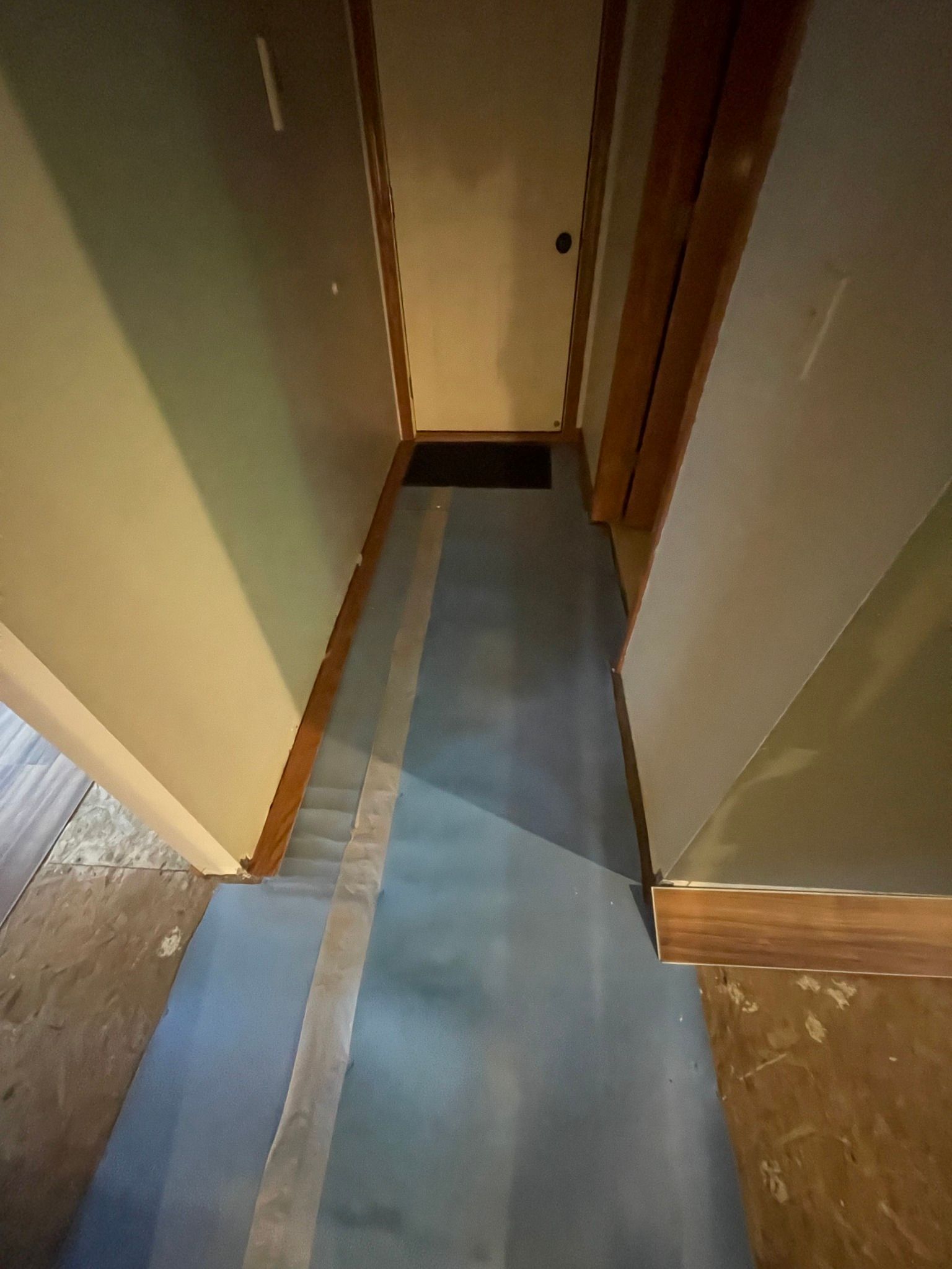 Narrow hallway with blue runner rug, flanked by light green walls and brown trim.