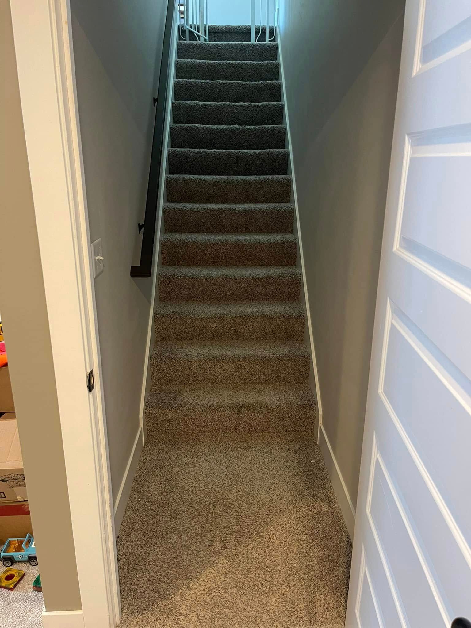 Staircase with carpeted steps between light gray walls. Door on right side, metal railing on left.