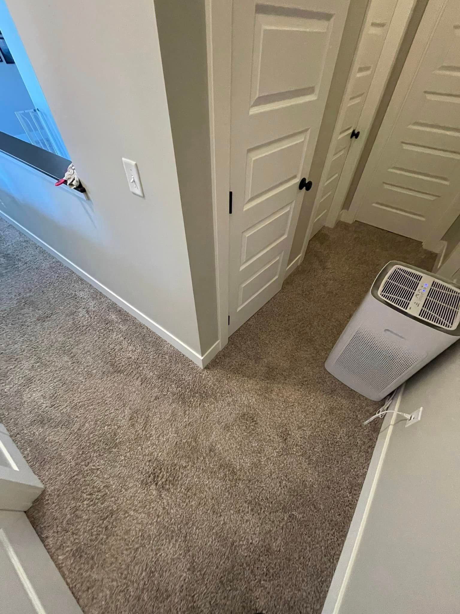 Hallway with beige carpet, white doors, and a white air purifier.