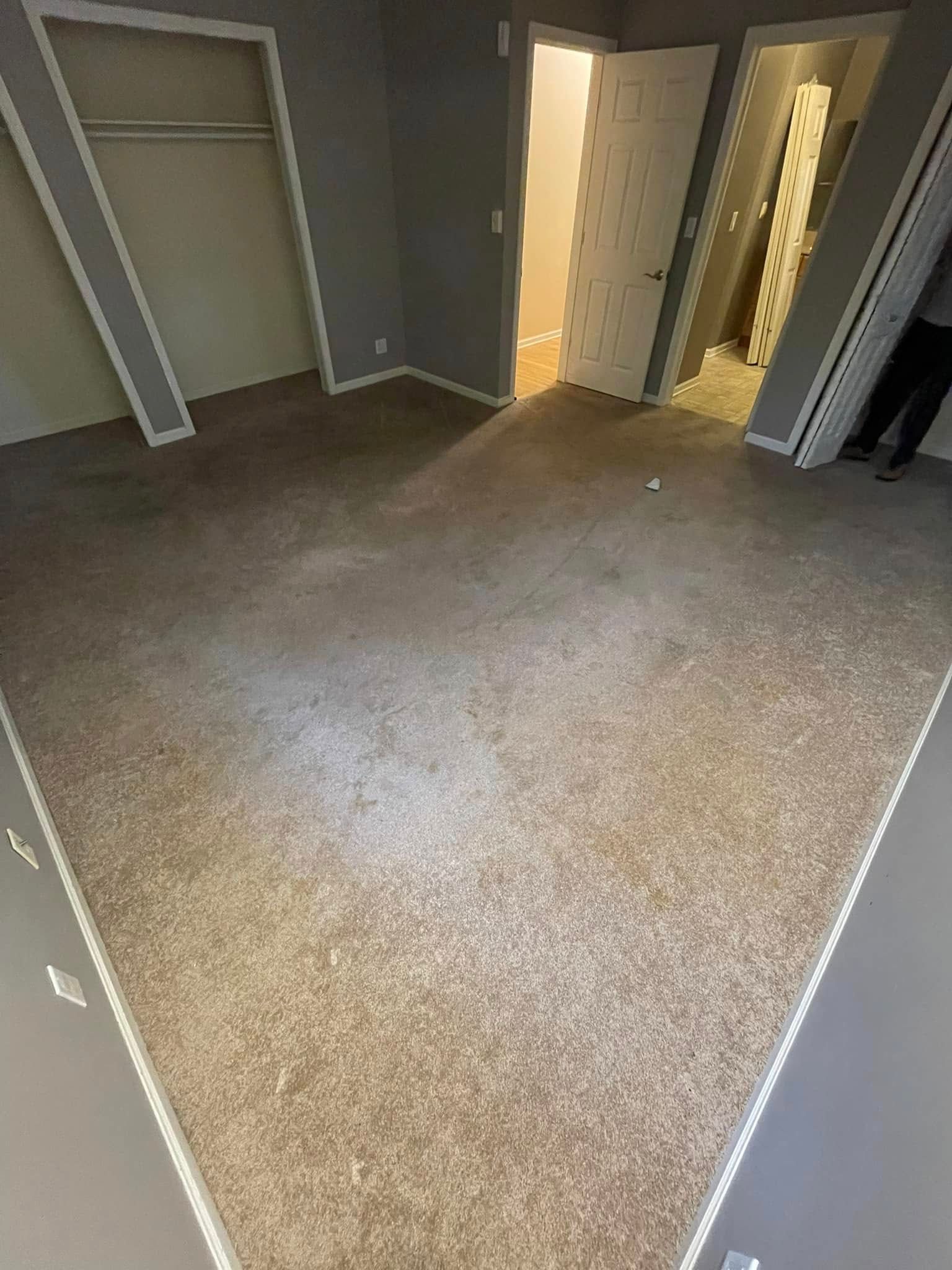 Empty room with beige carpet, gray walls, closet, and open doorways.