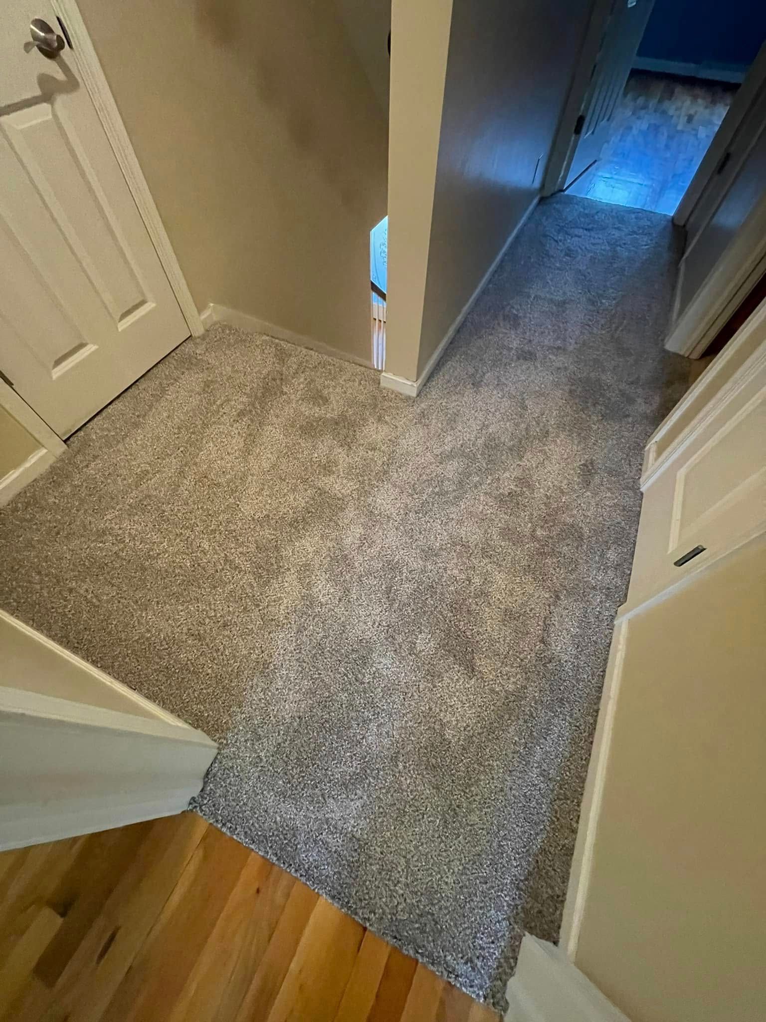 Hallway with gray carpet, white doors and trim, light walls, and wooden floor transition.