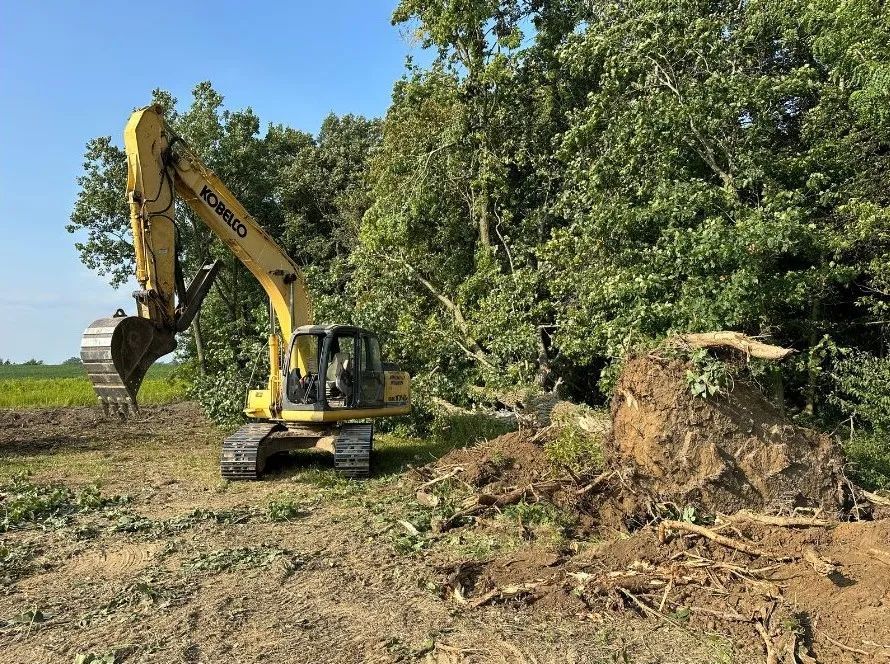 A yellow excavator clearing trees in a field on a sunny day. It has a raised arm, and tree roots are visible.