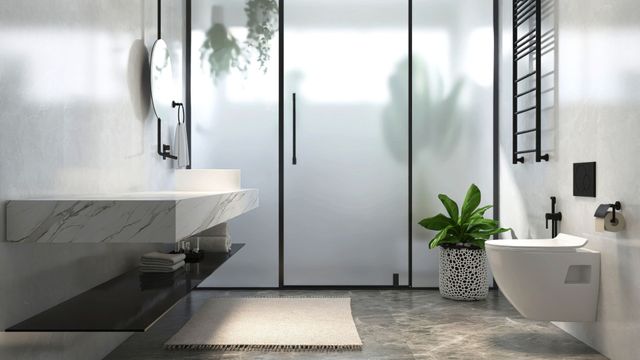 Modern bathroom with frosted glass shower, floating vanity, and green plant.