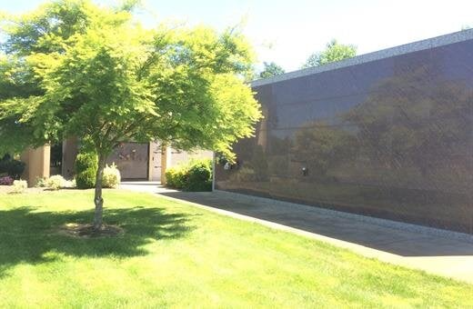 A green tree next to a dark, reflective building with a grassy lawn on a sunny day.