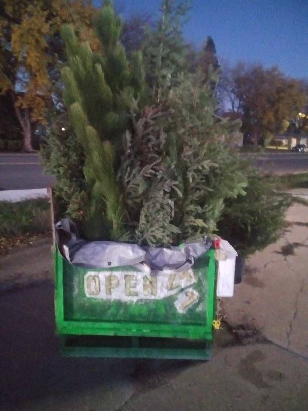 Green bin overflowing with greenery, with 
