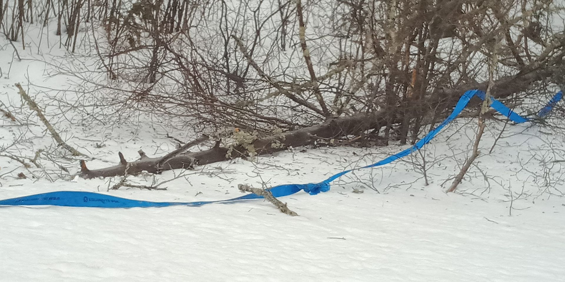 Snowy landscape with blue material draped over trees and across the snow.