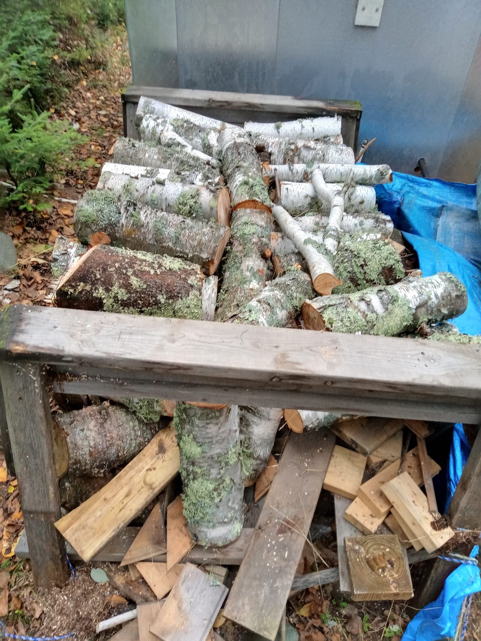 Firewood stacked on a wooden rack, with some split wood underneath; a blue tarp and shed in the background.