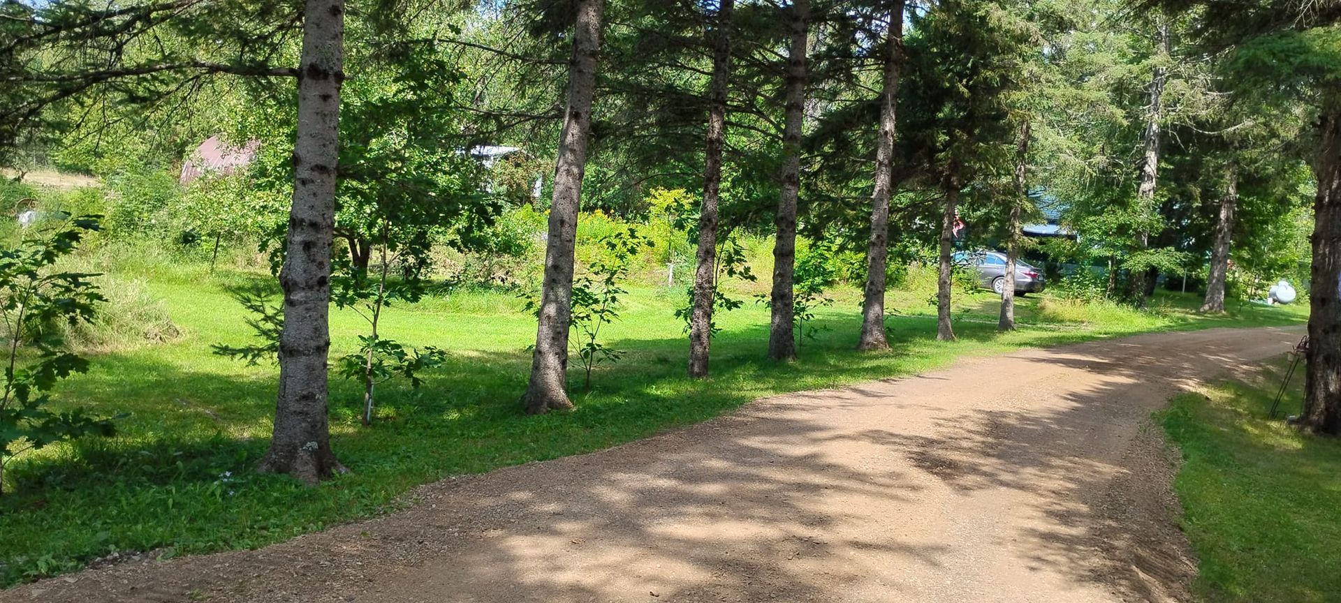 A gravel path winds through a green, tree-lined area. Sunlight filters through the trees onto the path.