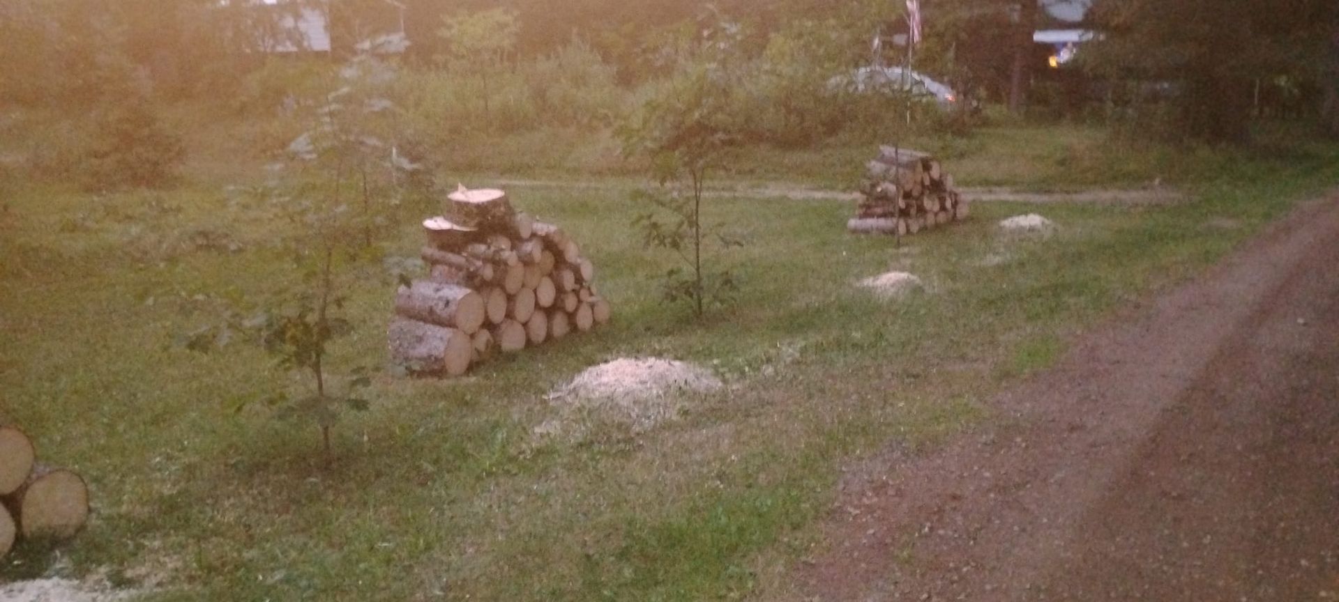 A grassy yard with two stacks of logs, small trees, and a dirt road.