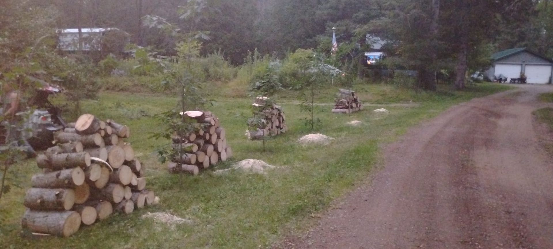 Stacks of firewood in a grassy yard with a dirt road. Houses and trees are in the background.