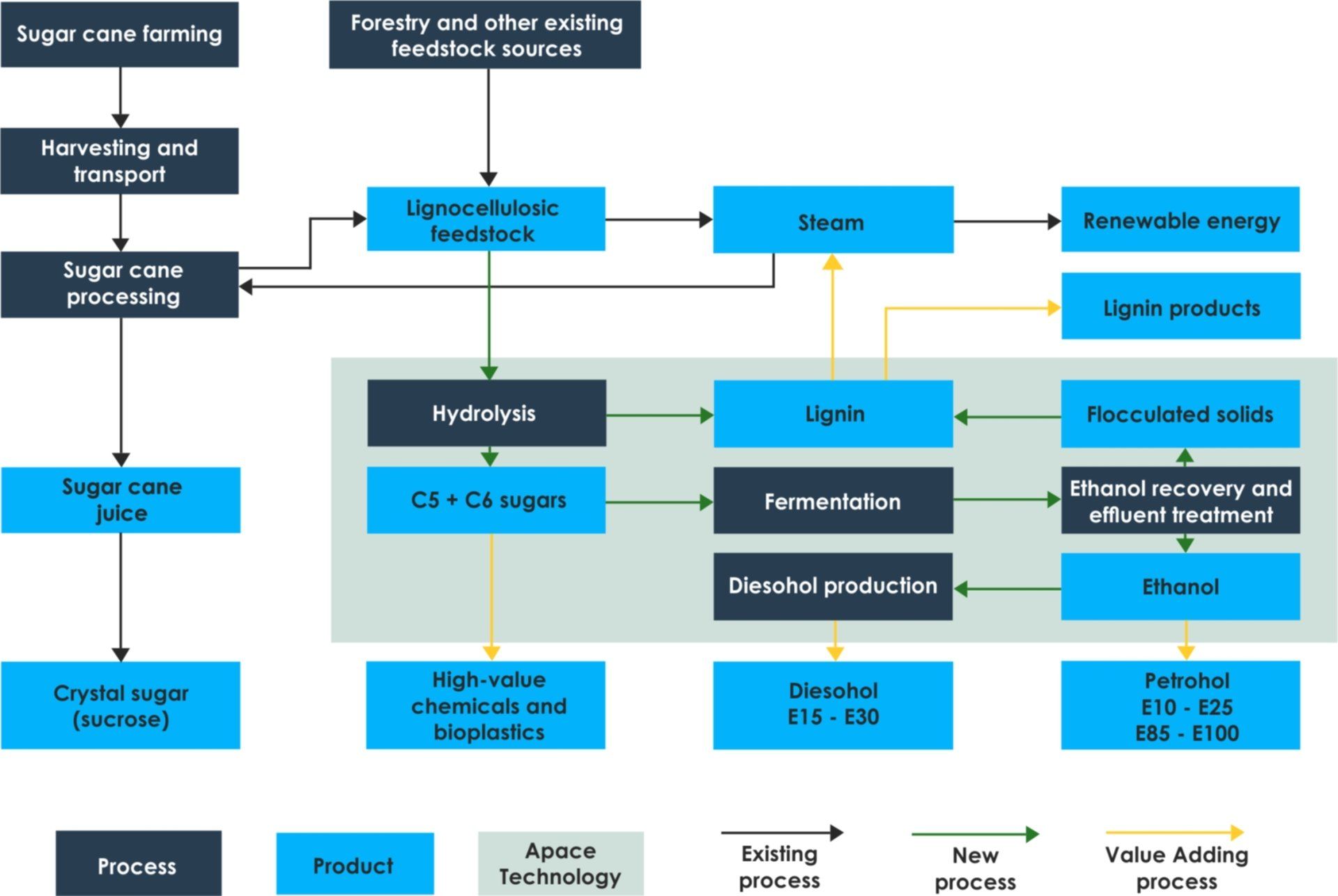 biomass processing