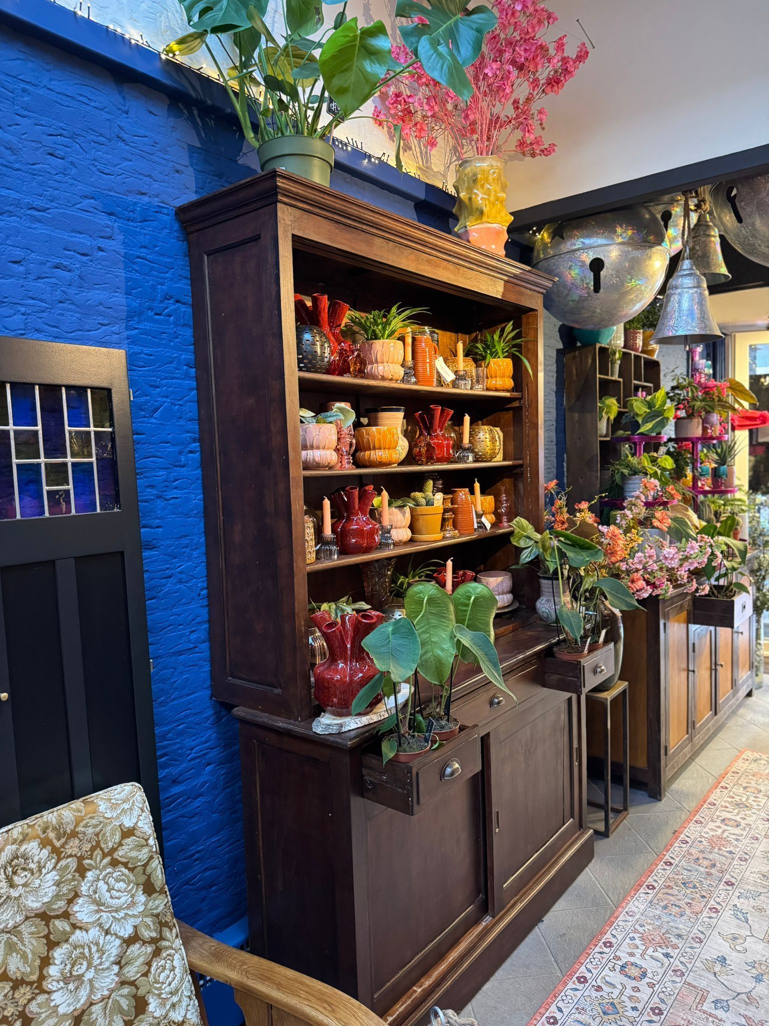 In een donkerhouten kast met een felblauwe muur staan ​​potplanten, keramiek en decoratieve voorwerpen uitgestald.