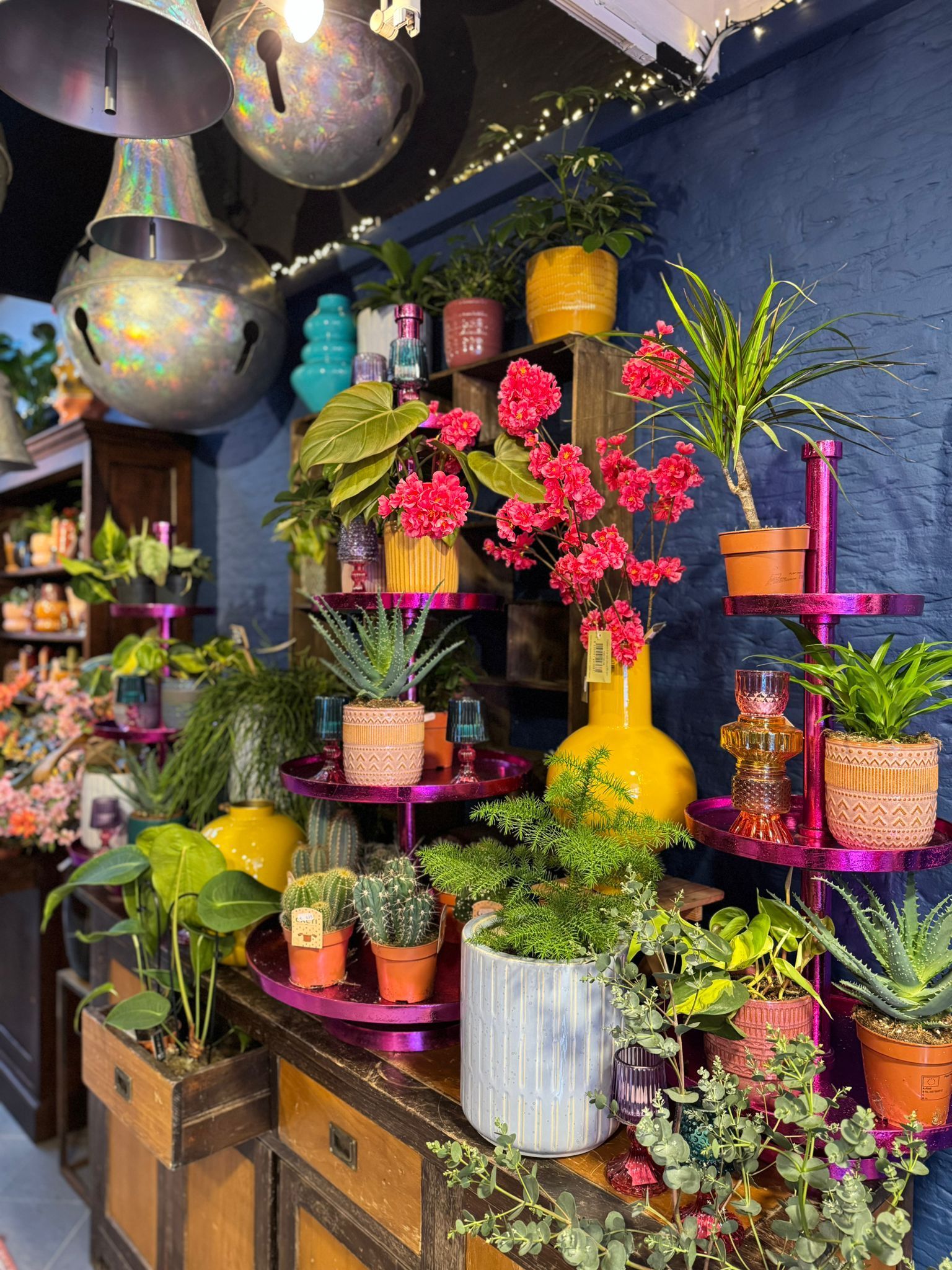 In een winkelpresentatie is een collectie potplanten te zien in kleurrijke vazen ​​en plantenbakken, uitgestald op planken in verschillende hoogtes.