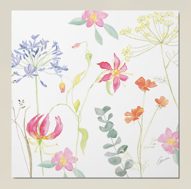 Een aquarelillustratie van diverse wilde bloemen in tinten roze, oranje, blauw en geel op een witte achtergrond.