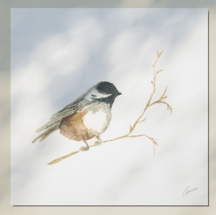 Een aquarelillustratie van diverse wilde bloemen in tinten roze, oranje, blauw en geel op een witte achtergrond.