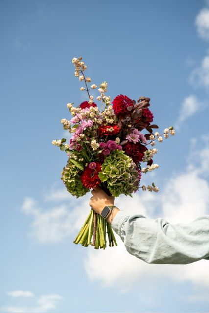 Een persoon houdt een levendig boeket donkerrode, paarse en groene bloemen vast tegen een helderblauwe hemel met lichte wolken.