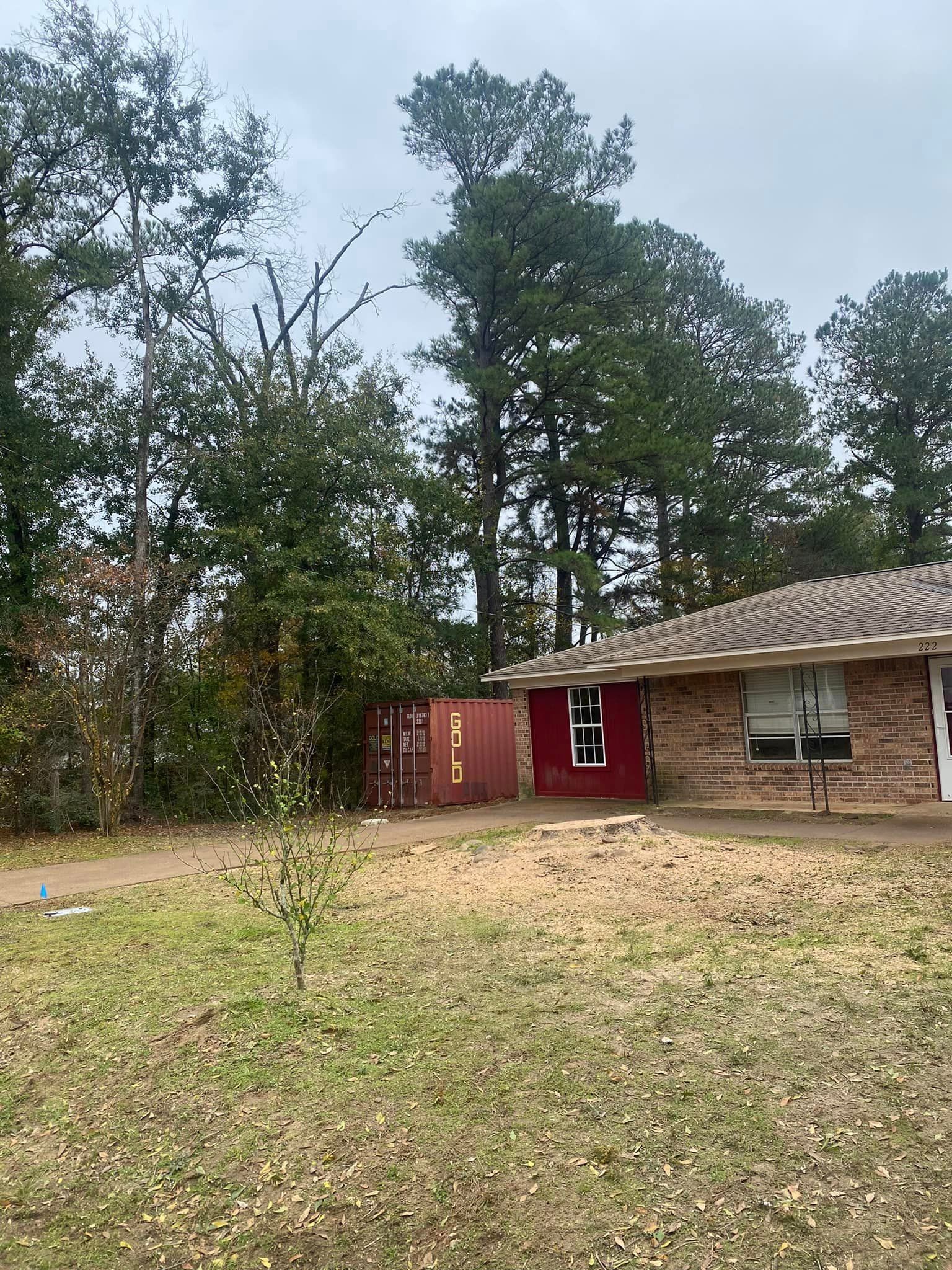 Affordable Tree Trimming Palestine, TX Porras Tree