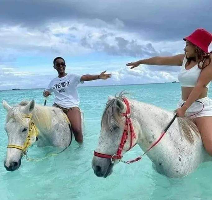 PASSEGGIATA ACAVALLO