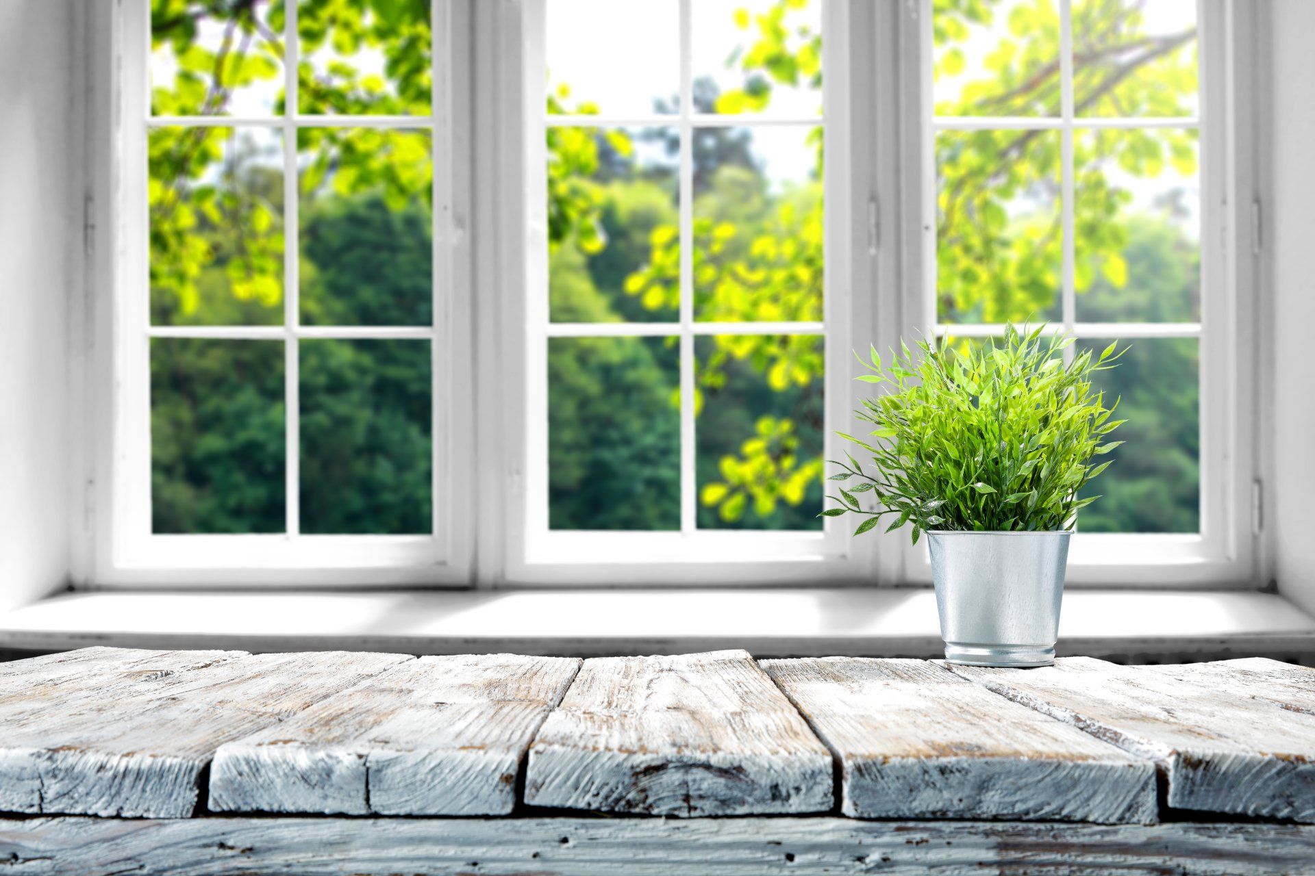 A potted plant is sitting on a wooden table in front of a window.
