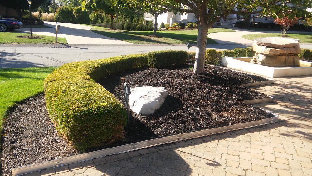 A garden with a rock in the middle of it