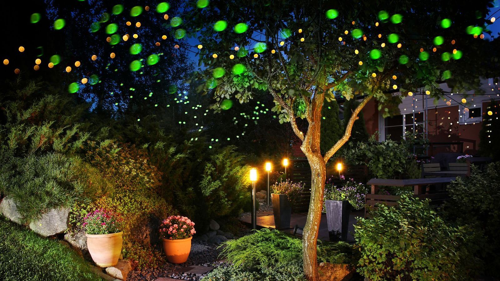 A tree is lit up with green lights in a garden at night.