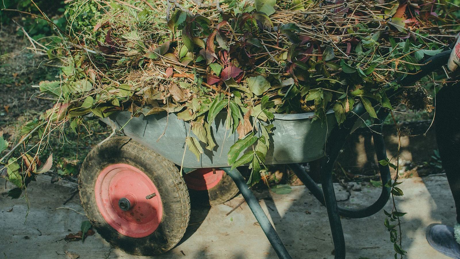A wheelbarrow filled with leaves and branches is sitting on the ground.