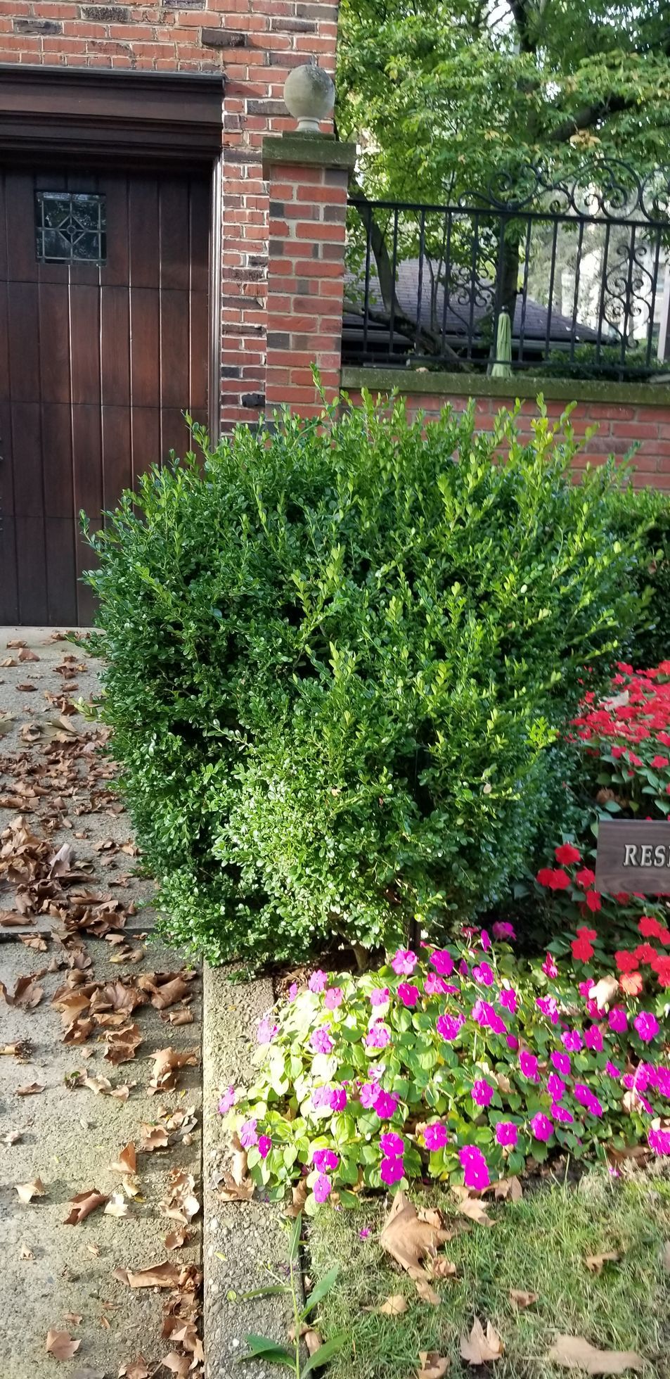 A garden with flowers and bushes in front of a brick house.