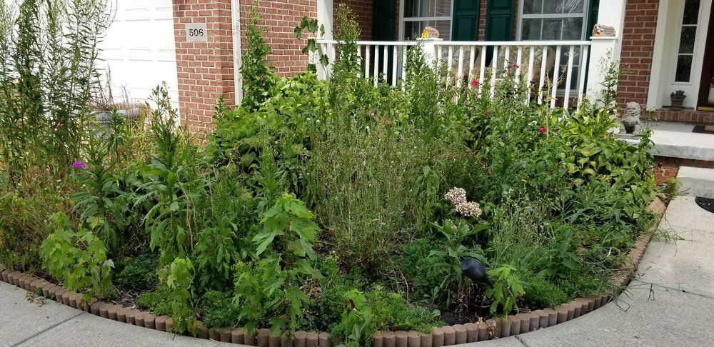 A lush green garden in front of a brick house.