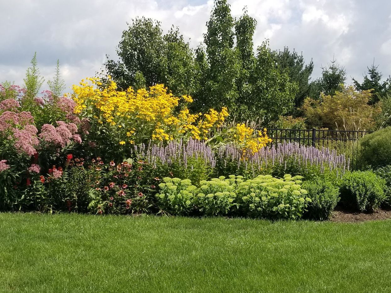 A garden filled with lots of flowers and trees