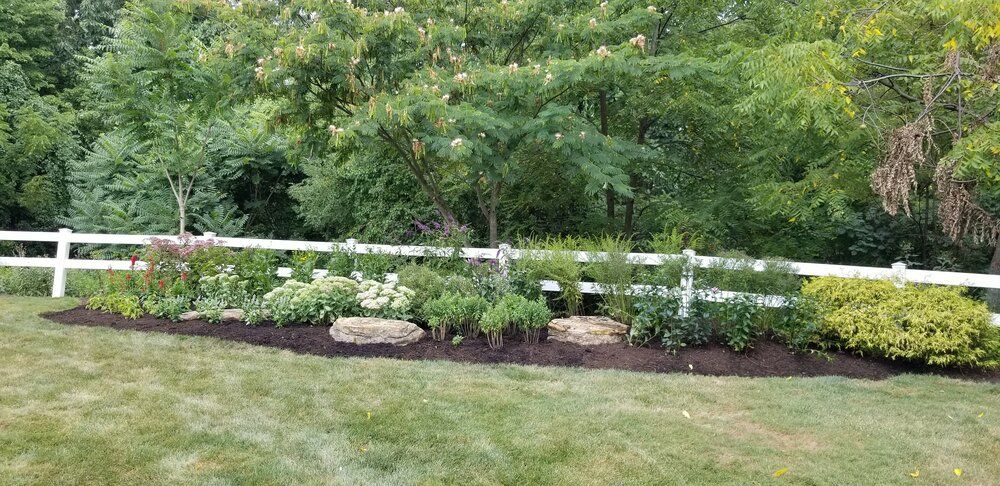 A white picket fence surrounds a lush green garden.