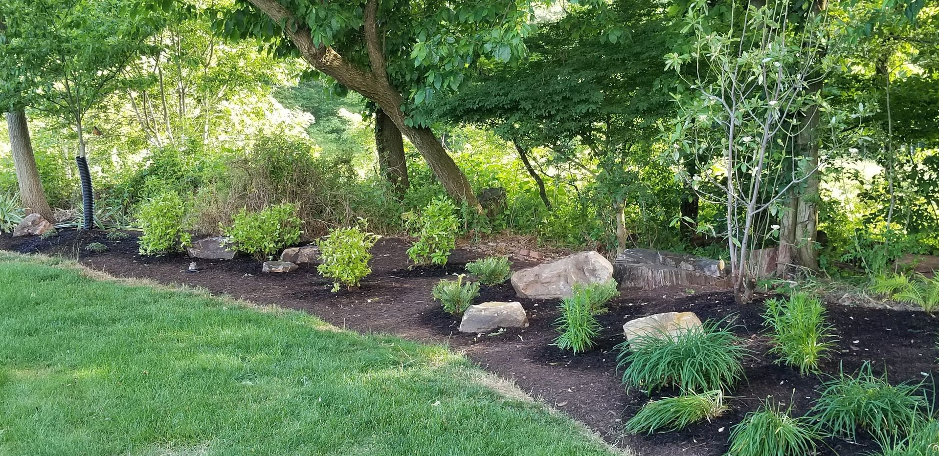A lush green lawn surrounded by trees and rocks.