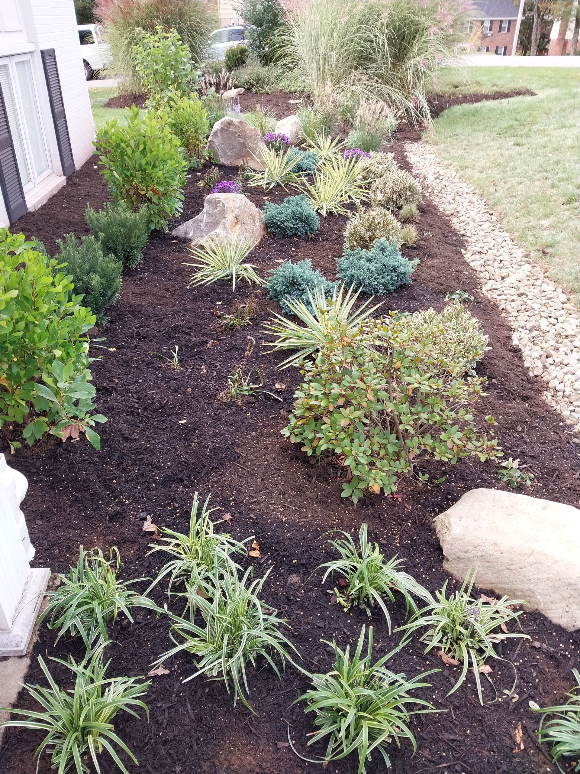 A garden filled with lots of plants and rocks in front of a house.
