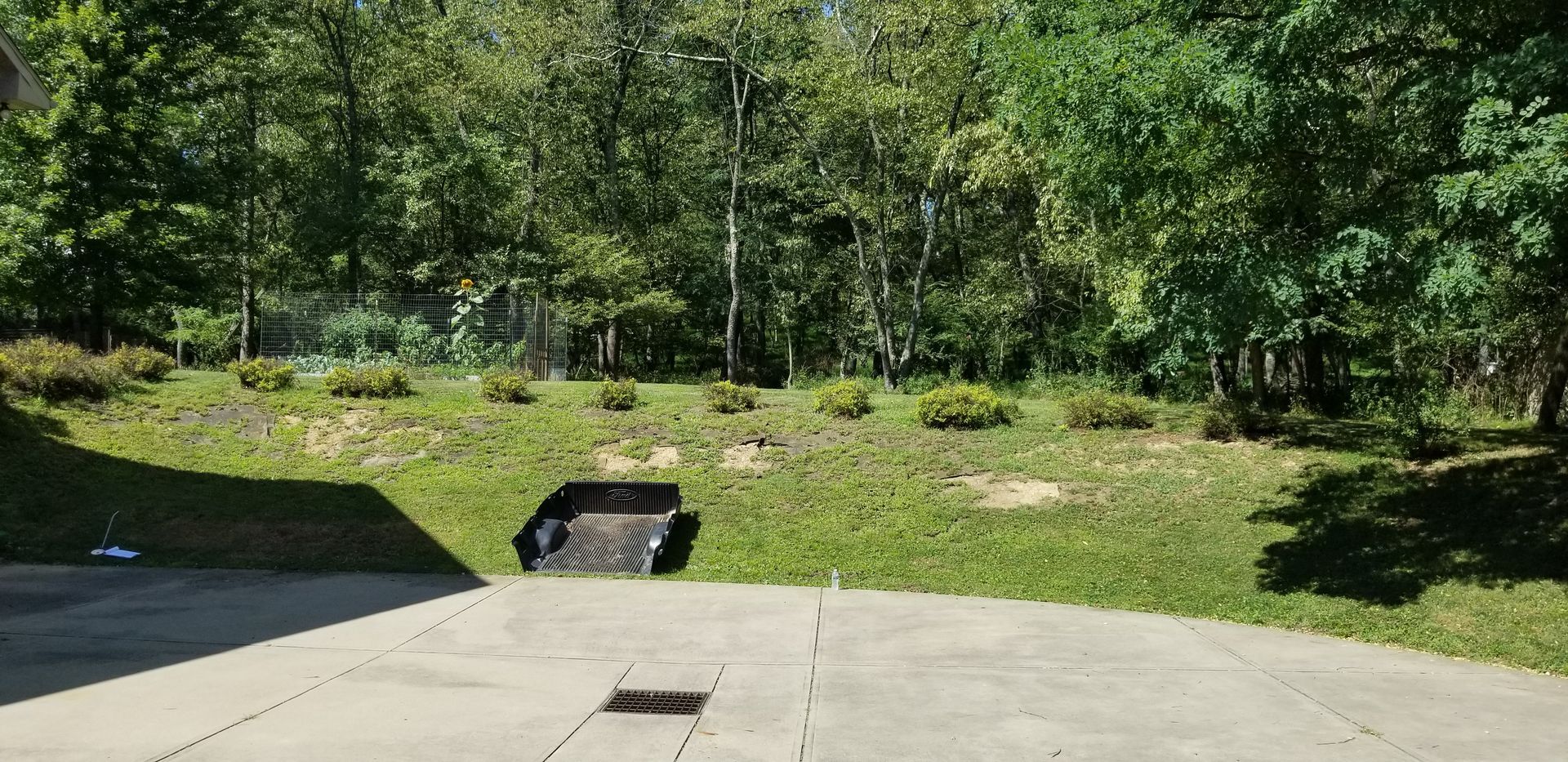 A concrete driveway leading to a grassy area with trees in the background.