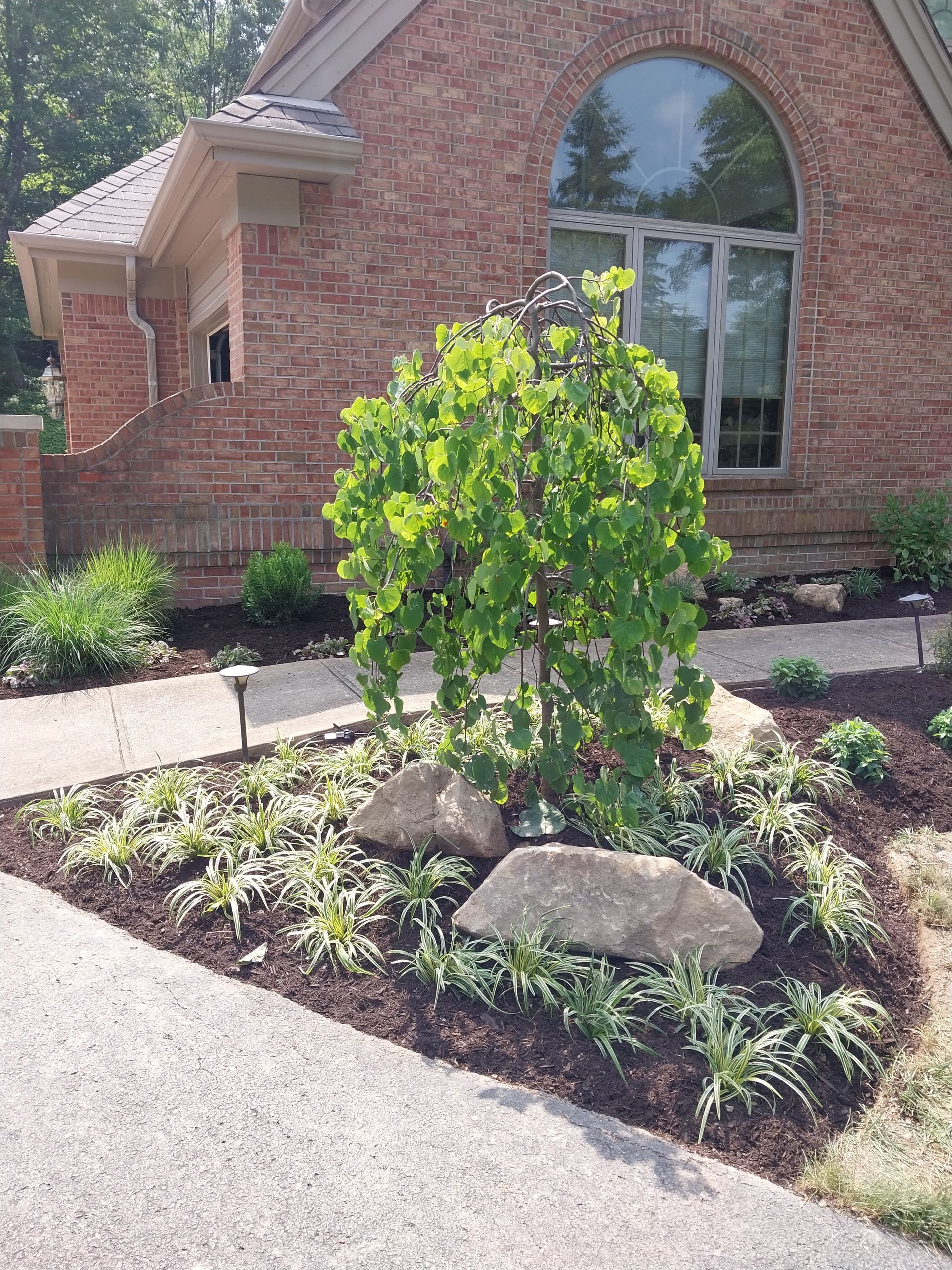 A brick house with a lush green garden in front of it.