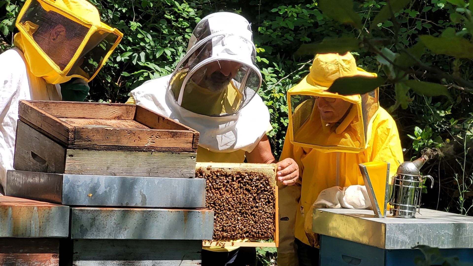 Produção de mel e geleia na fazenda