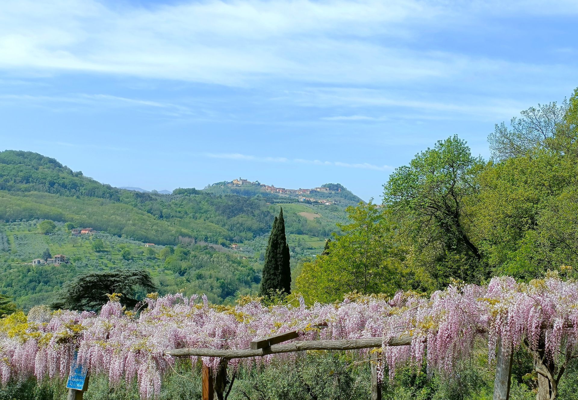 Vista de Montecatini Alto a partir da casa de campo I Pitti, com uma pérgola de glicínias em flor.
