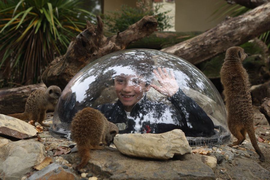 Dia em família no Zoológico de Pistoia, a apenas 10 minutos do Agriturismo I Pitti.