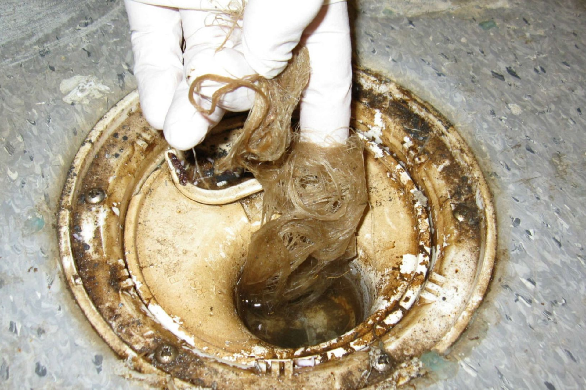 Ser opp på et palmetre mot en blå himmel.