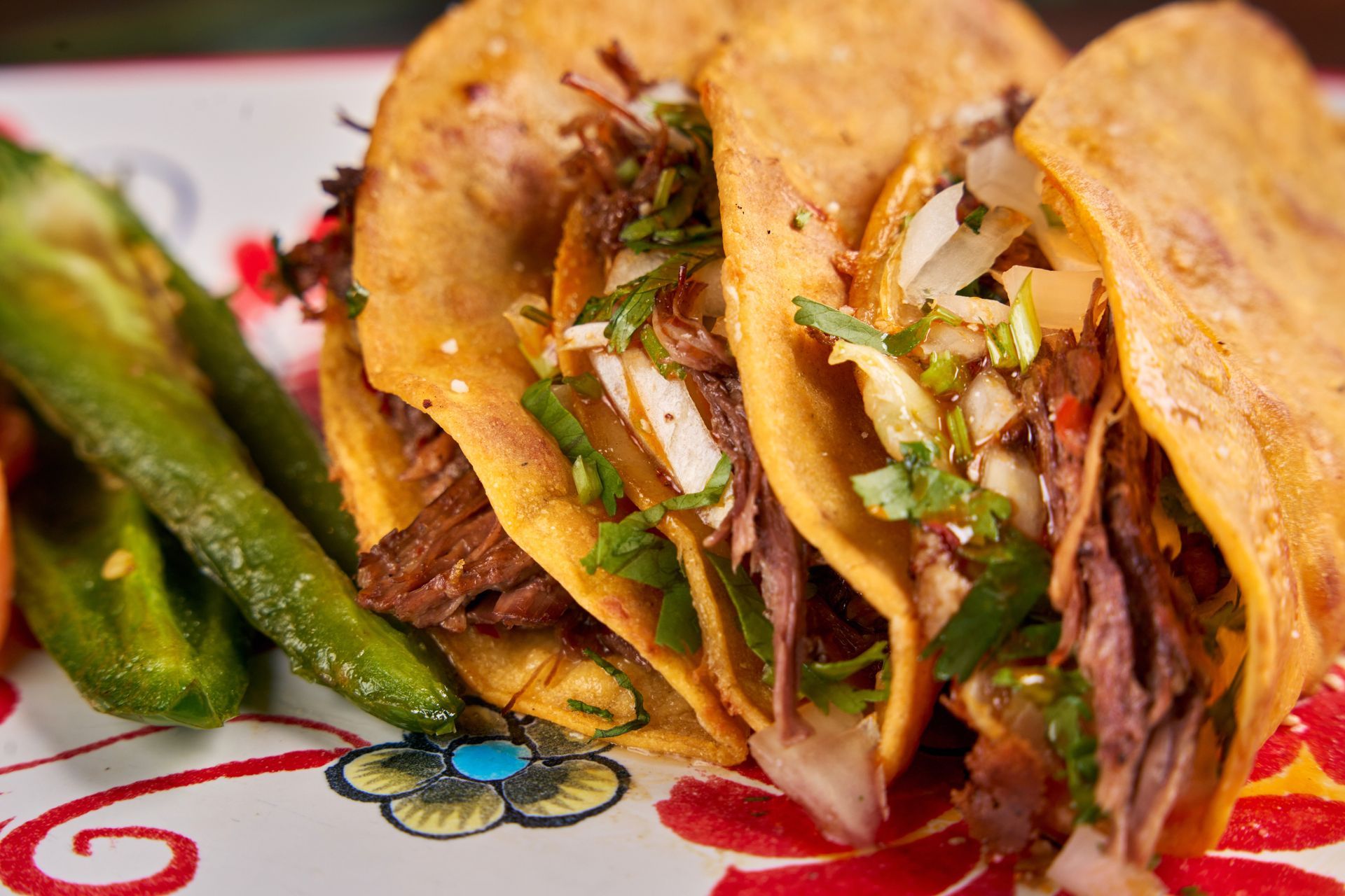 birria tacos