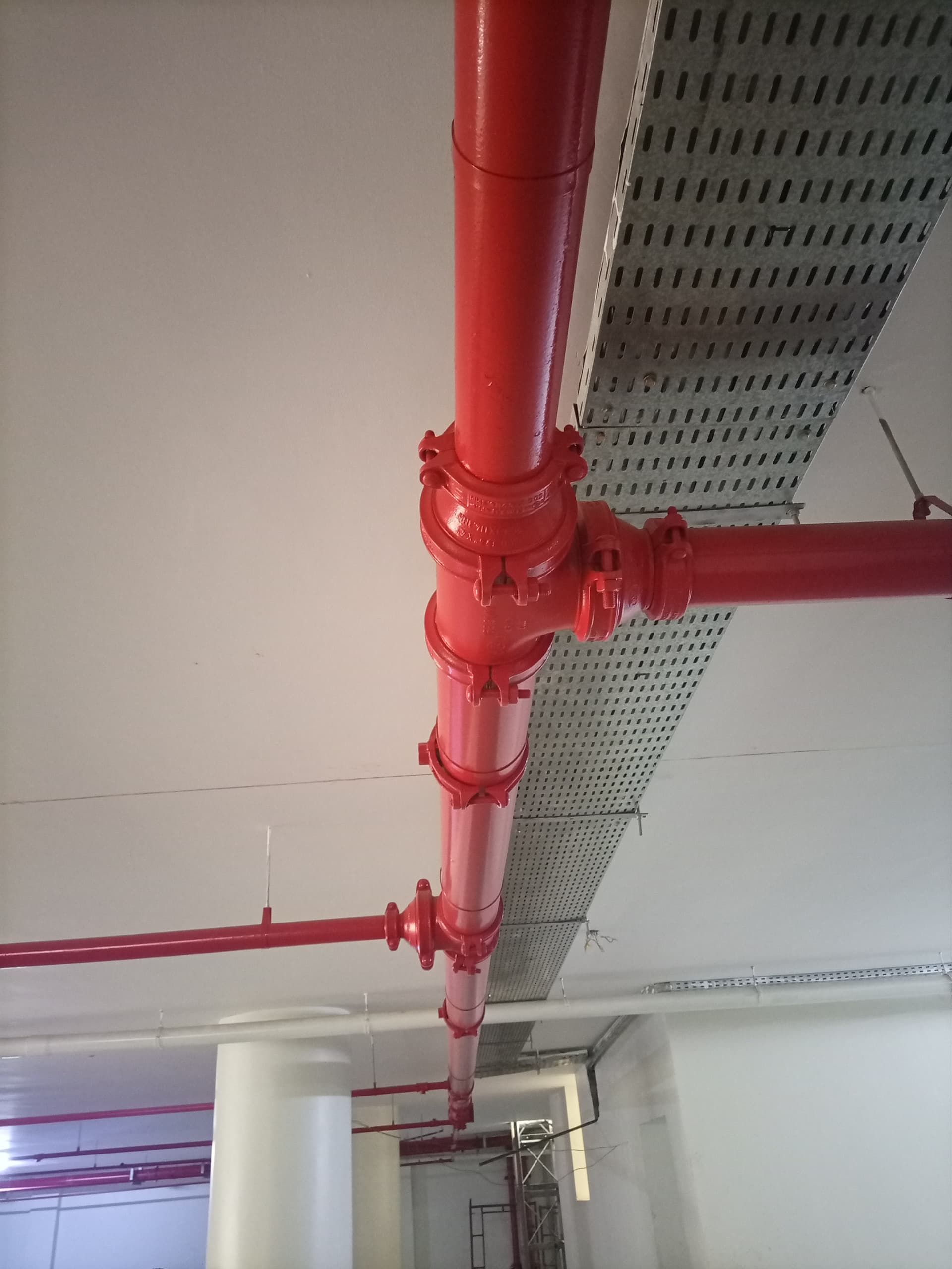 Red fire sprinkler pipes installed on a white ceiling, with a cable tray overhead.