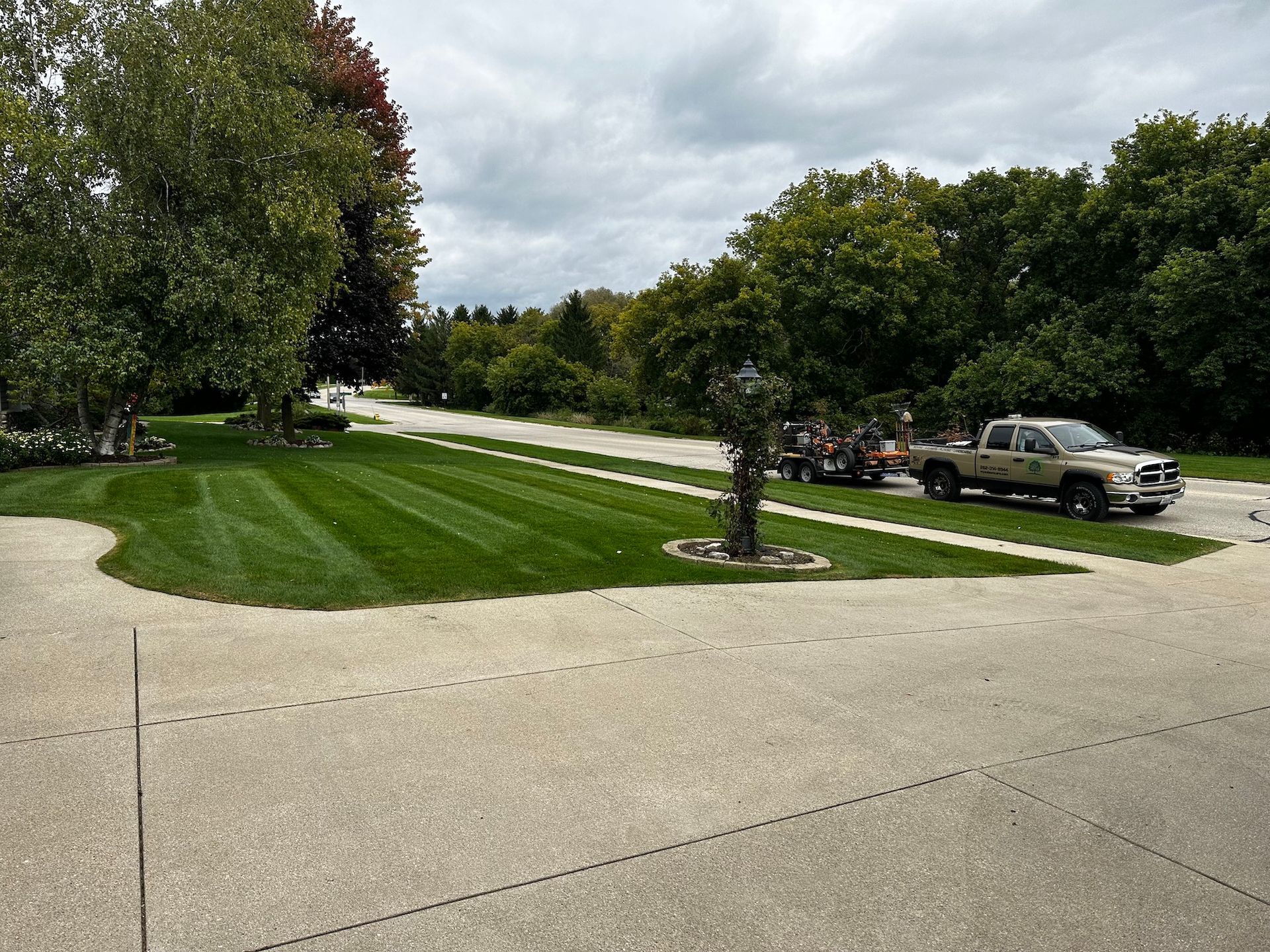 Freshly Mowed Lawn