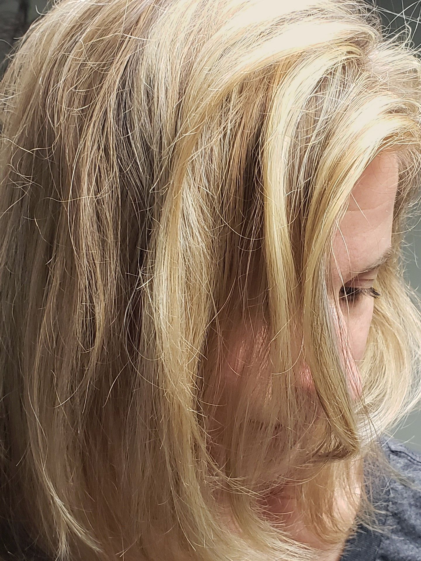 Organic Blonde Highlights