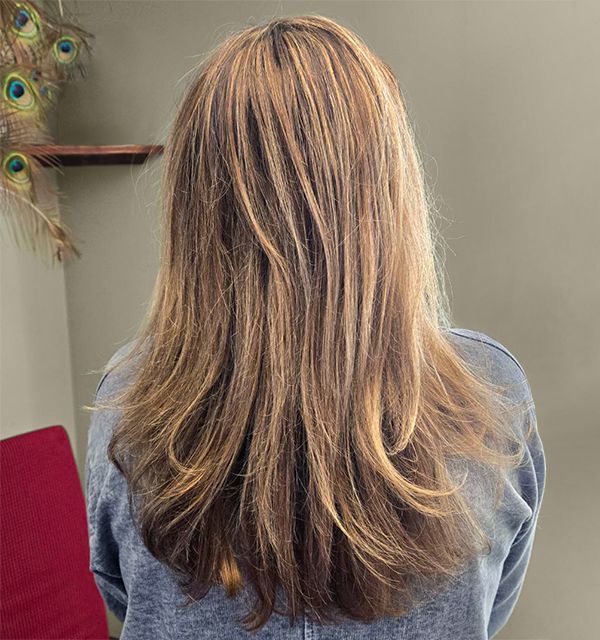 Organic Color Highlights